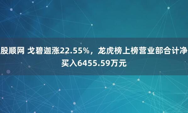 股顺网 戈碧迦涨22.55%，龙虎榜上榜营业部合计净买入6455.59万元